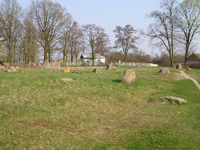 Antopol