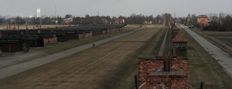 ограда. Биркенау.jpg