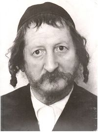 Иеуда Цви Брандвайн