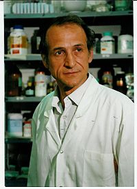 Vladimir Fookson