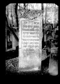 Meir Shimshon Popert