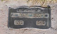 Ivan Bibo