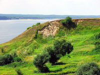 Dobrzyń (Dobrzyń nad Wisłą)