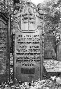 יחזקאל קצנאלפוגן