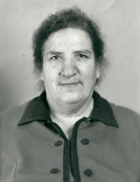 (שנדרוביץ')