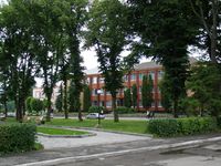 Муравица, Млинов