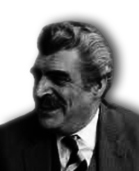 Yan Frenkel