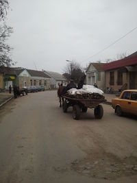 Грицев