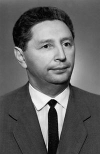 Ruvim Merkin
