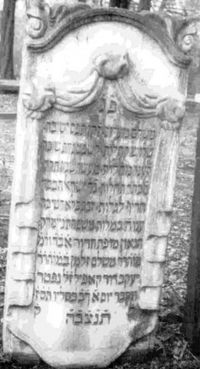 Meshulam Zalman Neumark
