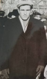 אלקסנדר