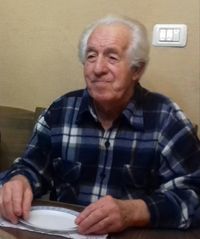 אנטולי פישביין