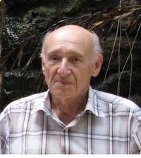 ולדימיר ולרשטין