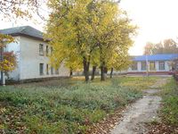 Alexăndreni