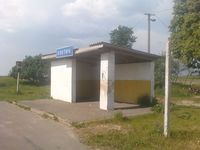 Ozyutichi (Ozdyutich)