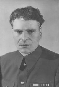 Vladimir Voloshin