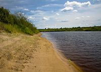 Сторожовцы, Житковичский район (д. Сторожовцы, Житковичский район)