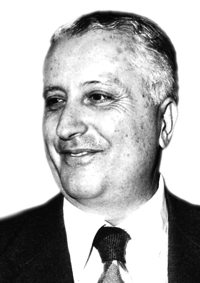 יליה פריגוג'ין