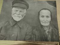 Давид Чаусер