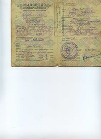 Светлана Саенко Неизвестный