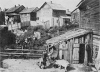 Liozno (Liozna)
