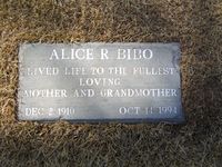 Alice Ramona Bibo