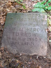 Naphtali Hertz Turkow