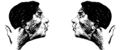 Мы и гоим