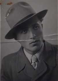 David Freidlin