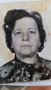 שייקביץ